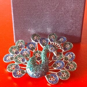 Green Blue Sparkle Thai Peacock Thailand Art Big Brooch Bird Big Pin Silver Tone
